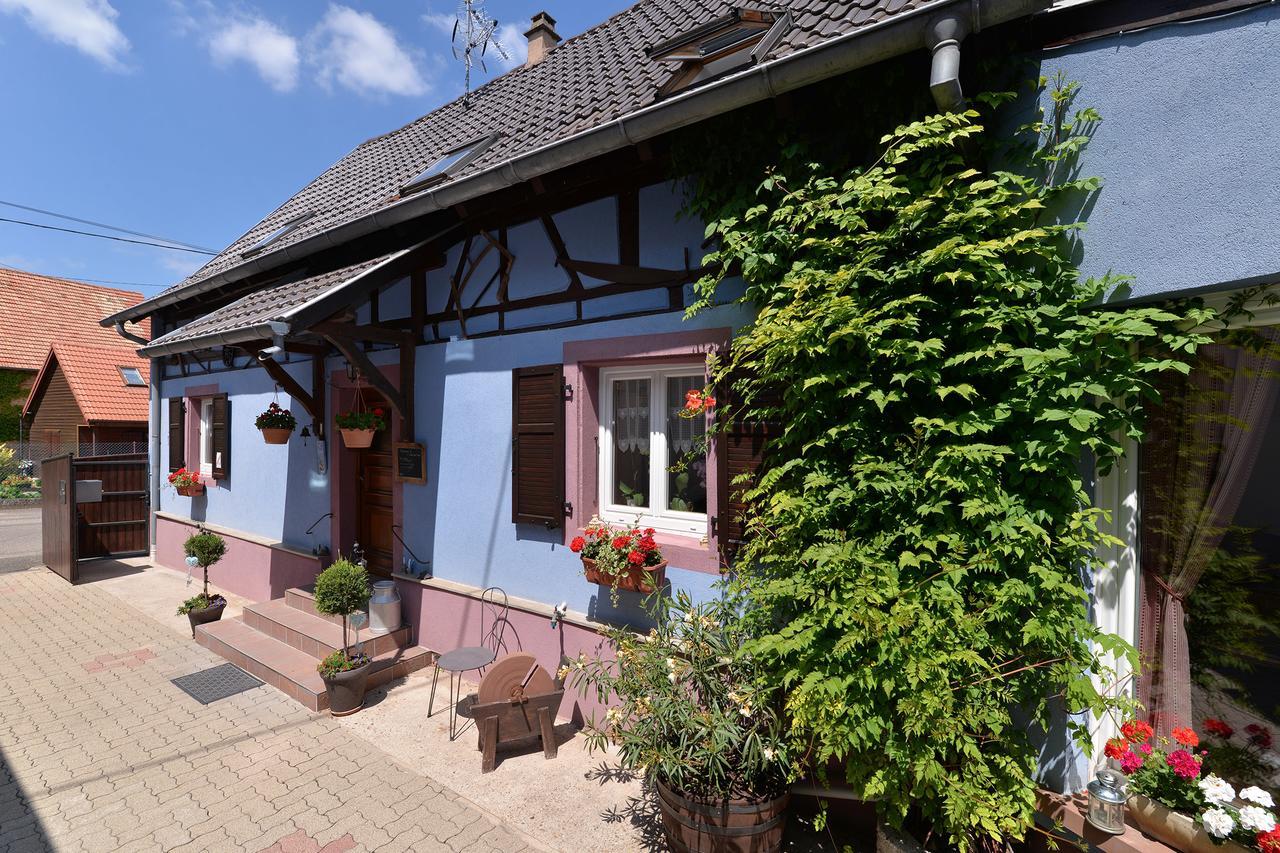 Eden Des Choux Hotell Krautergersheim Exteriör bild